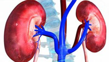 Kideny test pathology 