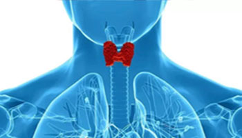 THYROID test in delhi